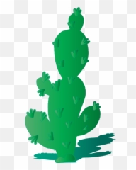 Free Photo Shadow Cactus Plant Arizona - True Frog png