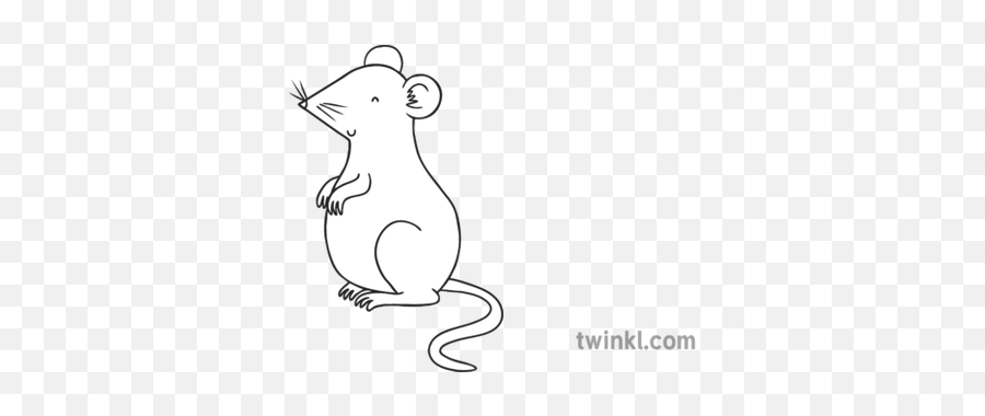 Tina The Tiny Mouse Animal Rodent Ks1 Black And White - Patitos Blanco Y Negro Png,Mouse Animal Png