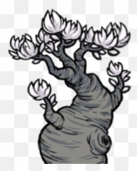 Lune Tree Donu0027t Starve Game Wiki Fandom - Dst Lunar png