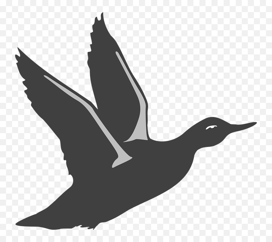 Duck Clipart - Flying Duck Silhouette Svg Png,Duck Clipart Png