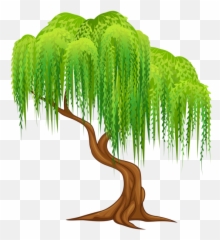 Clipart Phone Transparent Background - Weeping Willow Tree png