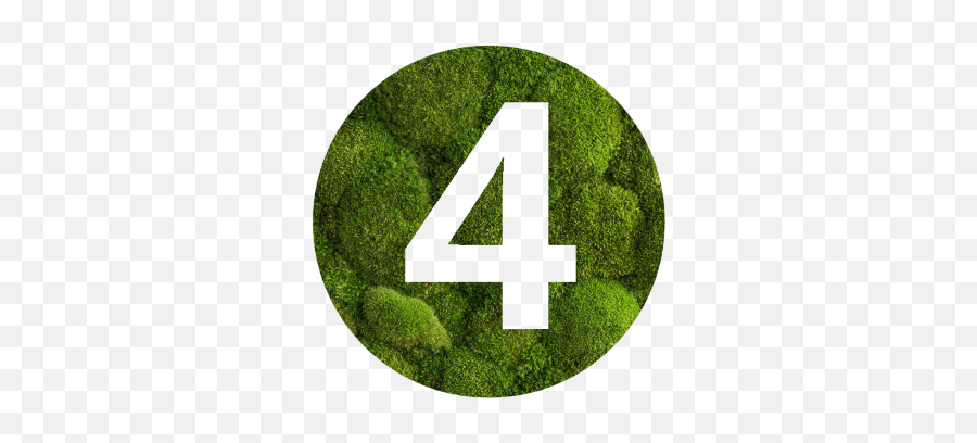 Mosswall - Mosco 40 Number Png,Moss Icon