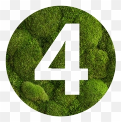 Mosswall - Mosco 40 Number png