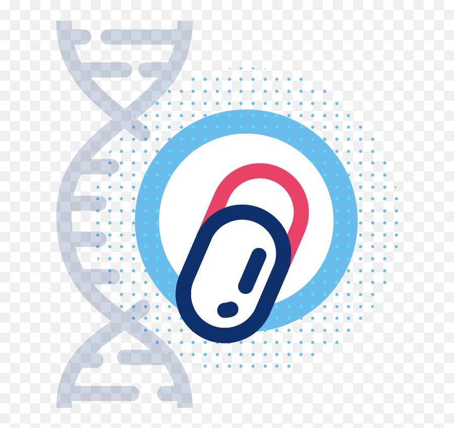 Pharmacogenetic Pharmacology Analyses Response To Png Predictive Icon