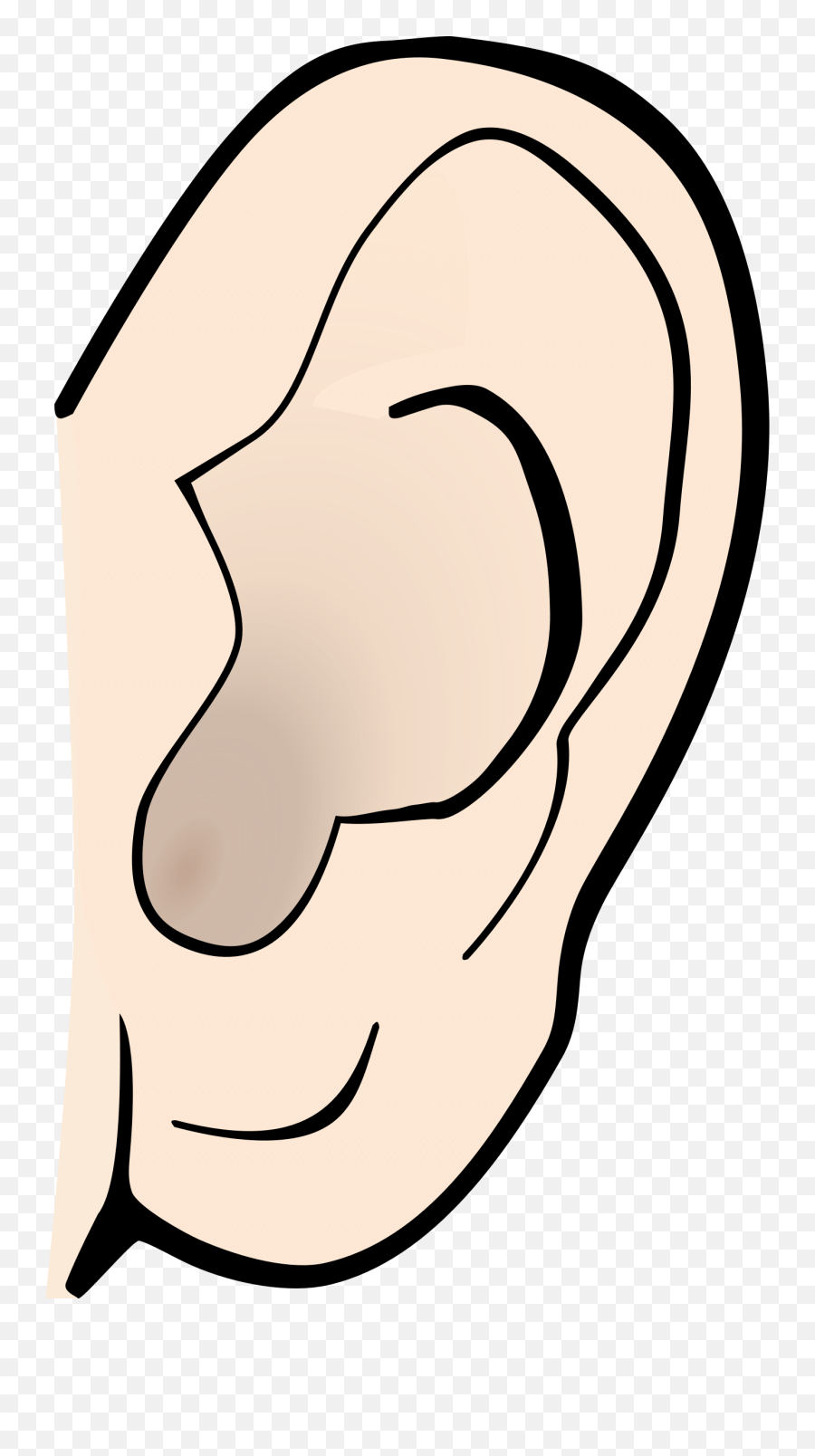 Cartoon Ear Transparent Png Clipart - Clip Art Ears,Ear Png