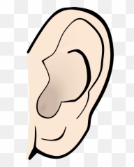 Cartoon Ear Transparent Png Clipart - Art Ears