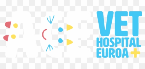 Ace Vet Hospital Euroa - Graphic Design Png,Ace Png