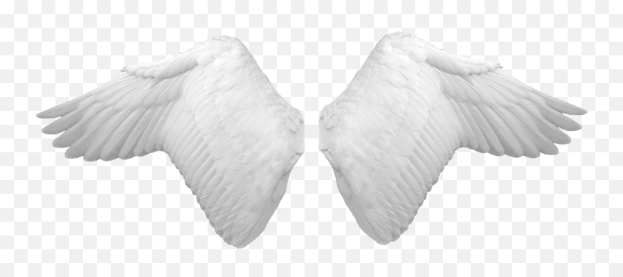 Download White Wings Png Image For Free - Angel Wings Psd,Wing Png