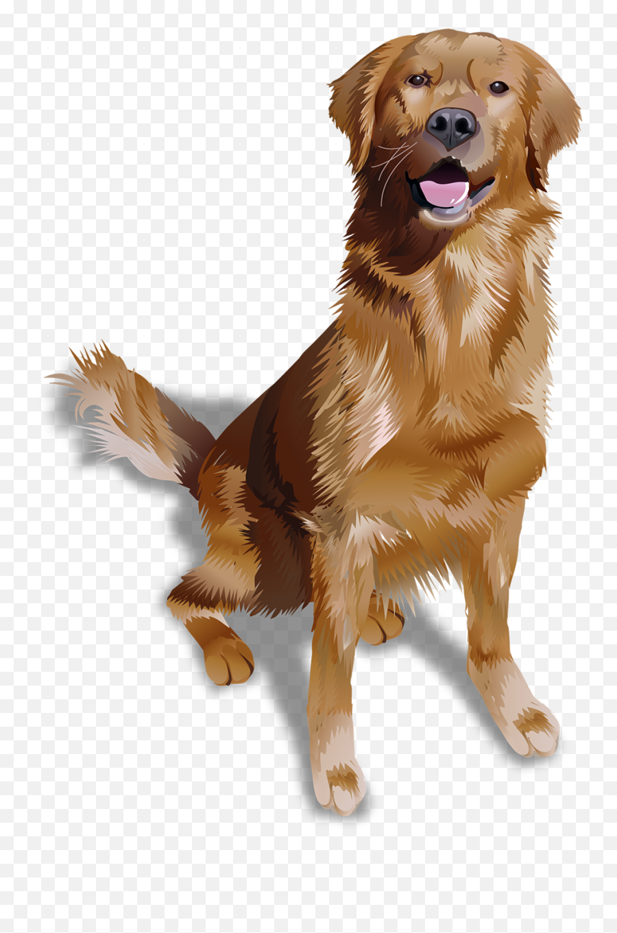 Golden Retriever T - Shirt Vibrant Vector Golden Retriever Png,Golden Retriever Transparent Background