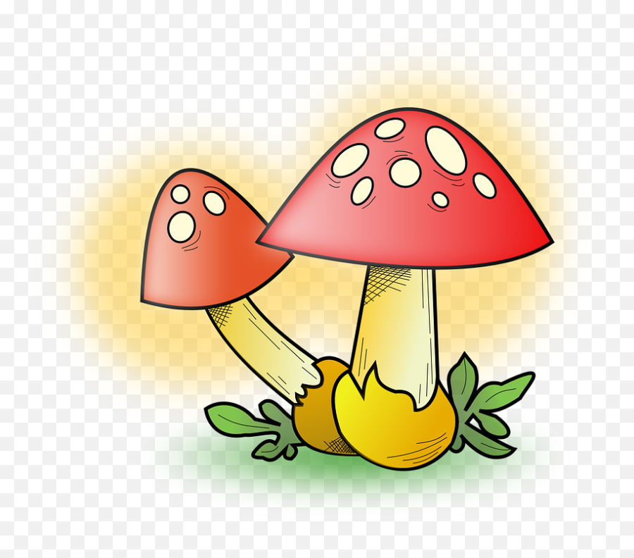 Mushrooms Red Plant - Gambar Jamur Kartun Png,Mushrooms Png