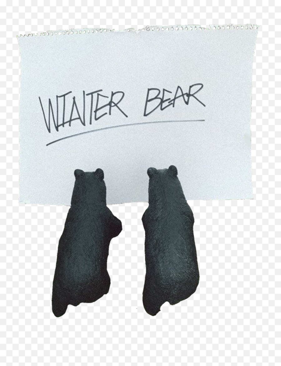 Taehyung Winterbear Text Bts Bear - Sticker By Winter Bear By V Png,Bear Transparent