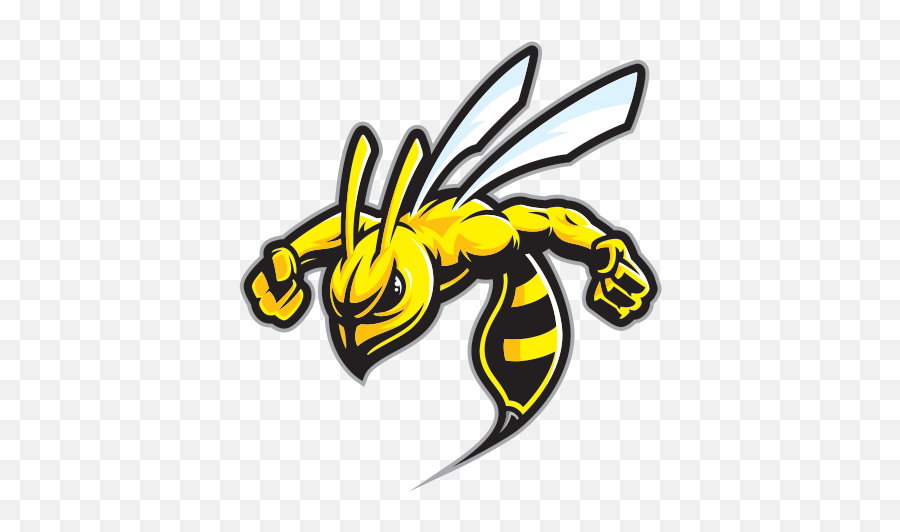 Insect Clipart Hornet Transparent Free For - Hornet Stickers Png,Hornets Logo Png