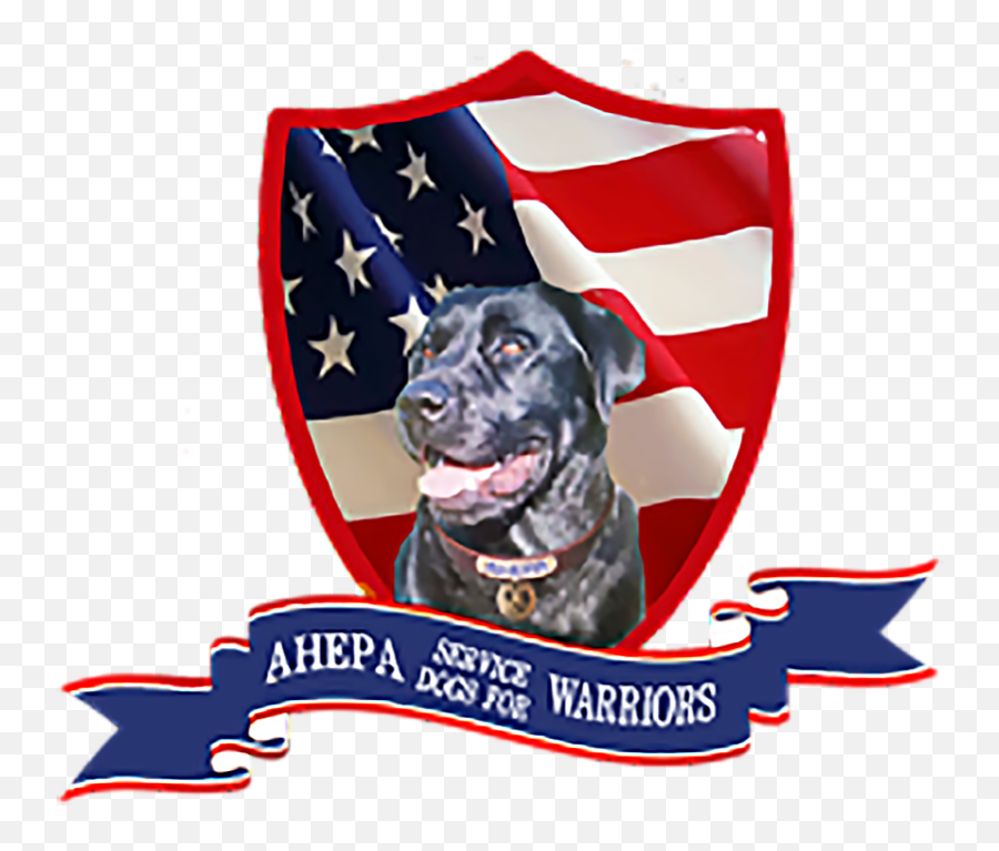 Welcome To Ahepa Service Dogs For Warriors - Ahepa Service Dogs For Warriors Png,Gabe The Dog Png