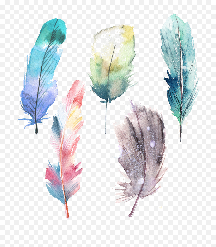 Feather Png Transparent