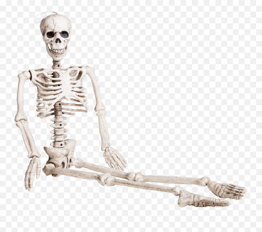 Skeleton Png - Sitting Skeleton Png,Skeleton Png Transparent