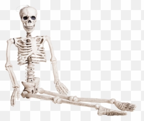 Skeleton Png - Sitting