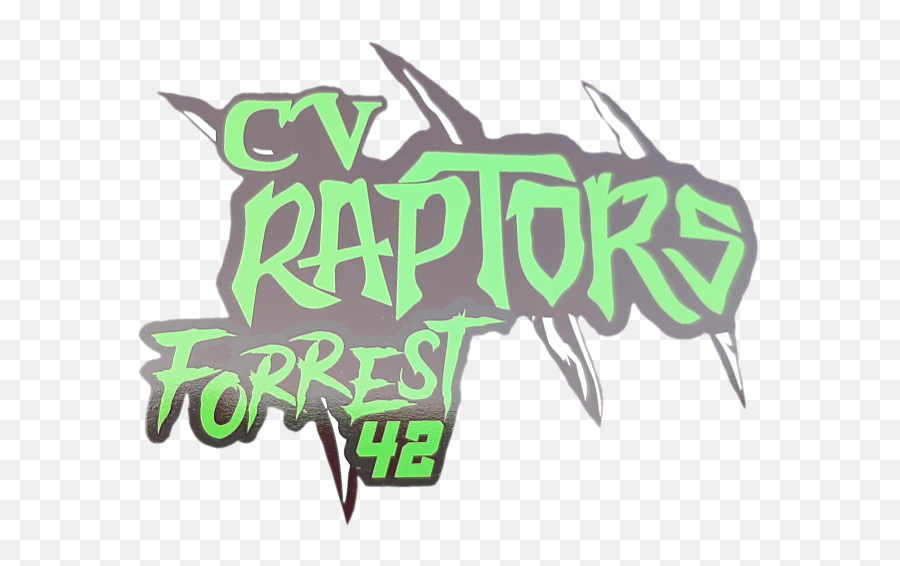 Chippewa Valley Raptors Fastpitch - Mondovi Wi Powered Graphic Design Png,Raptors Logo Png