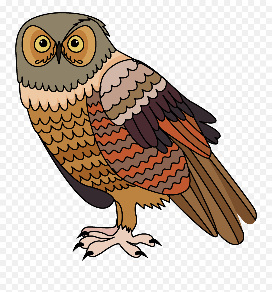 Owl Clipart - Clipart Image Of A Owl Png,Owl Clipart Png