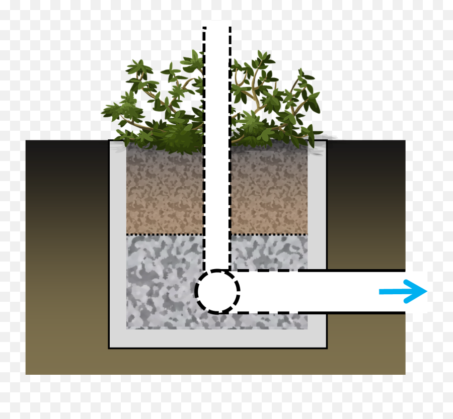 Planter - Tree Png,Planter Png