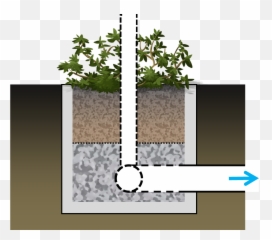 Planter - Tree Png,Planter Png