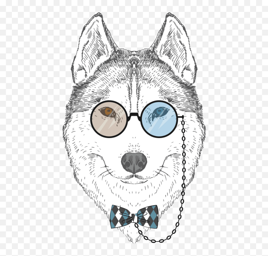 Do Husky Eyes Change Colors Dog Breeds List - Cartoon Png,Red Eye Glow Png