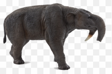Deinotherium - New 2013 Broken Tusk Reglued From Mojö U2014 Dejankins Png,Tusk Png