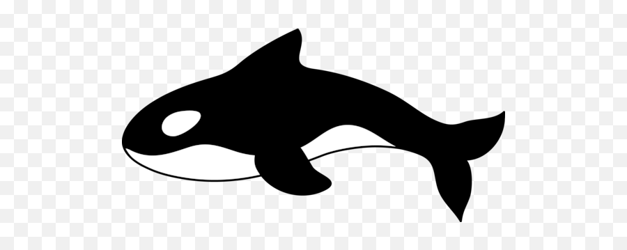 Cute Killer Whale Dromgbm Top Hd Image - Killer Whale Cartoon Drawing Png,Killer Whale Png