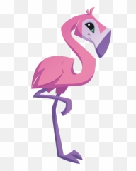 Flamingo Graphic - Animal Jam Flamingo Png 1414x2734 Png Animal Jam Animals Flamingo,Flamingo Png