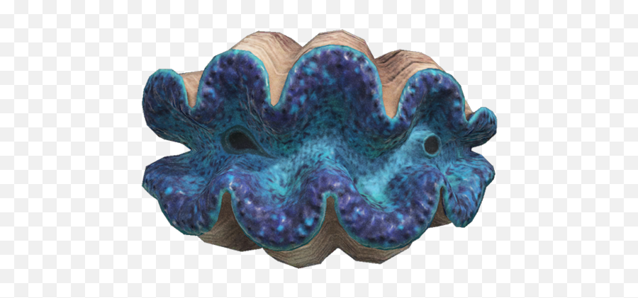 Gigas Giant Clam - Gigas Giant Clam Animal Crossing Png,Clam Png