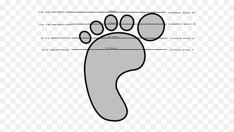 Baby Shoe Size Guide Clip Art - Vector Clip Art Baby Shoe Sizes C Png,Baby Shoes Png