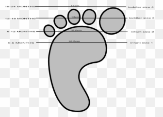 Baby Shoe Size Guide Clip Art - Vector Clip Art Baby Shoe Sizes C Png,Baby Shoes Png