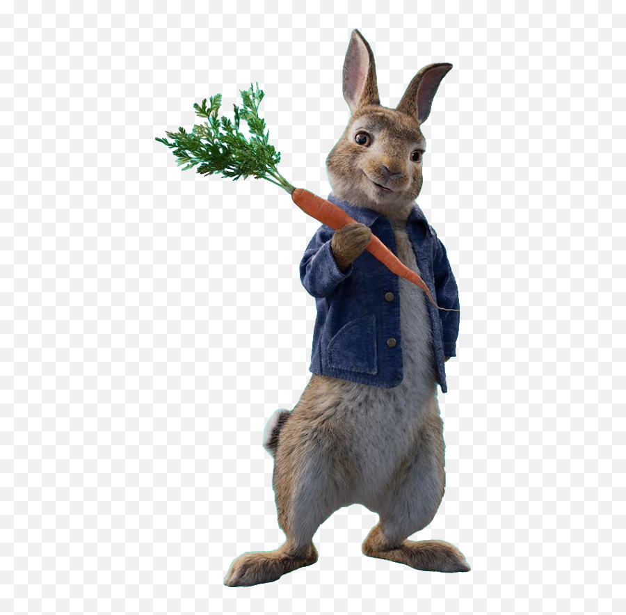 Peter Rabbit Png Picture - Peter Rabbit Movie Characters,Peter Rabbit Png