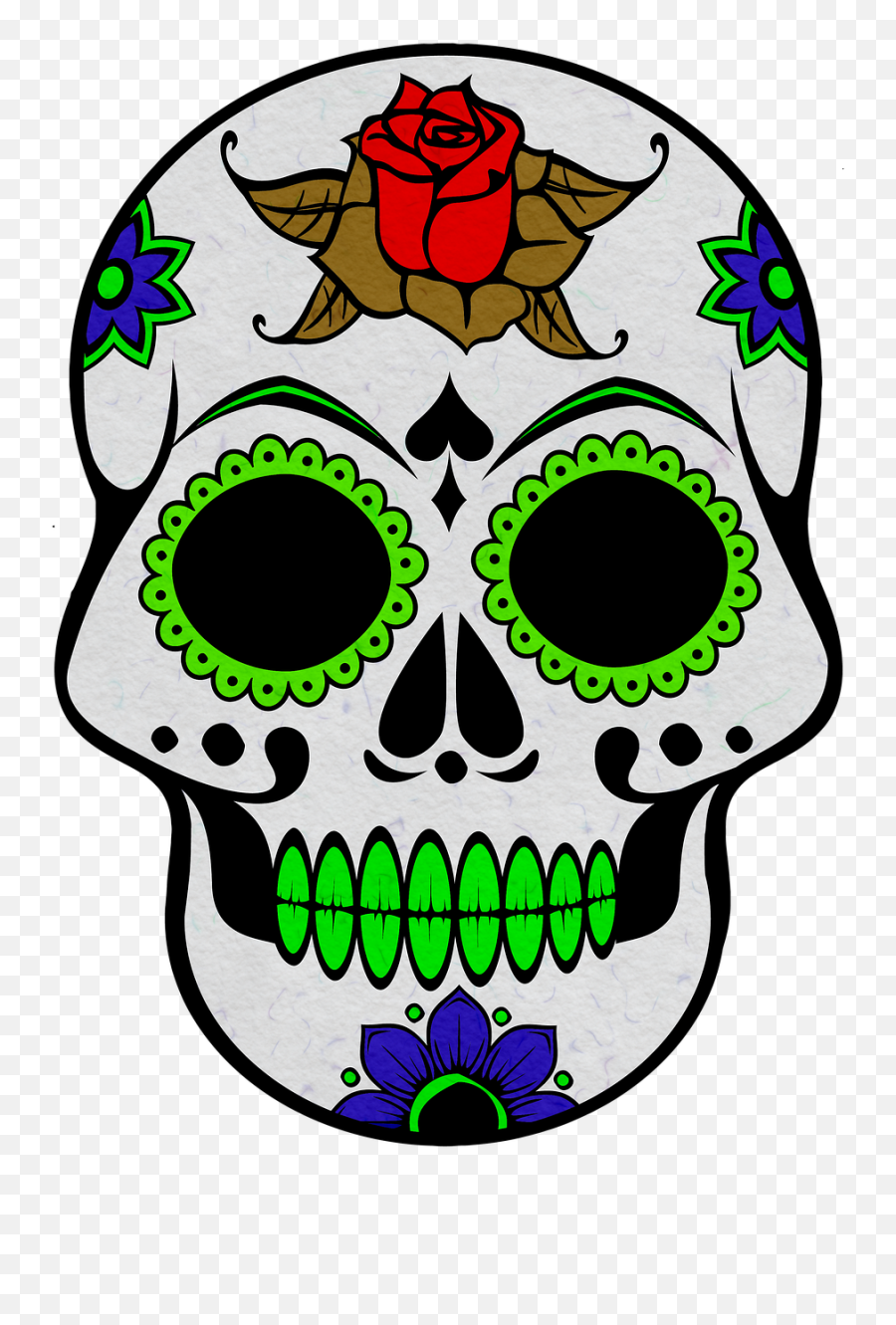 Skull Icon Day Of The - Coloriage Crane Mexicain Png,Facebook Skull Icon