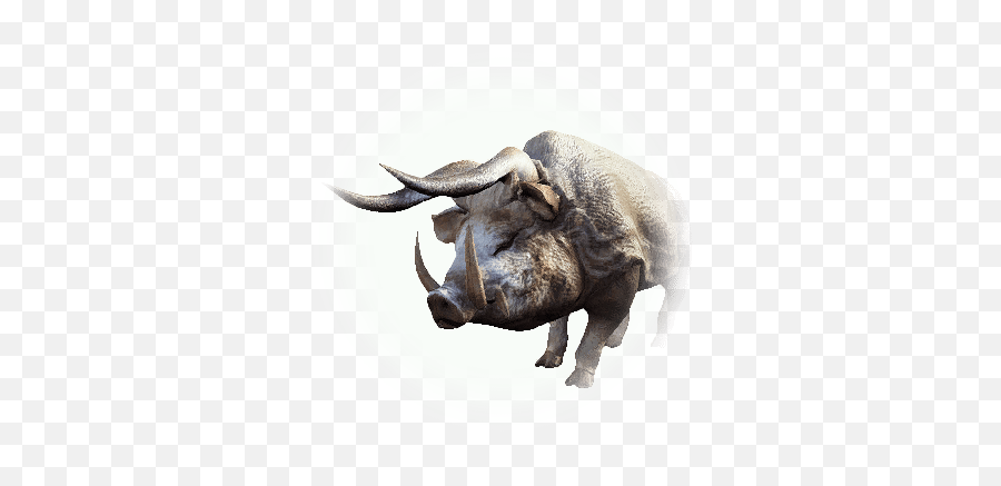 Big Horn Boar - Black Rhinoceros Png,Icon Helmet Horns