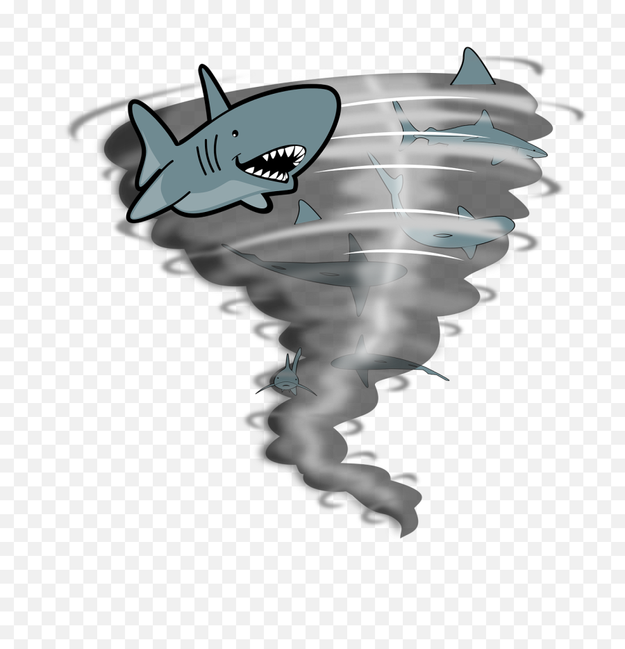 Lamnidaesharkgreat White Shark Png Clipart - Royalty Free Tornado Cartoon Shark,Shark Png