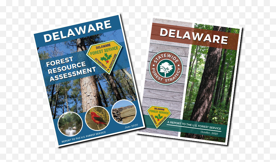 Forest Service - Delaware Department Of Agriculture State Book Png,Forest Realistic Icon