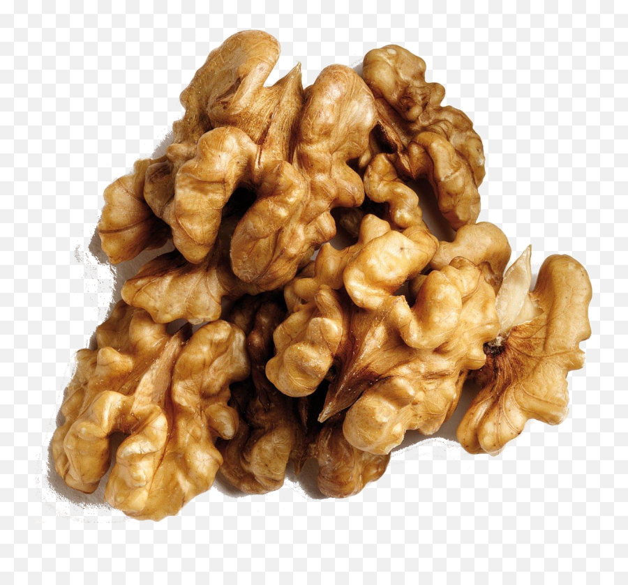 Nut Clipart Dry Fruit Png Walnut Transparent