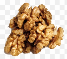 Nut Clipart Dry Fruit Png Walnut Transparent