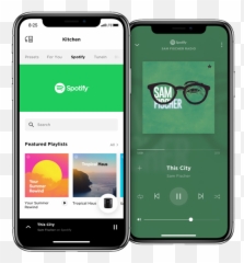 2 Best Methods To Play Spotify - Tunelf Music App png