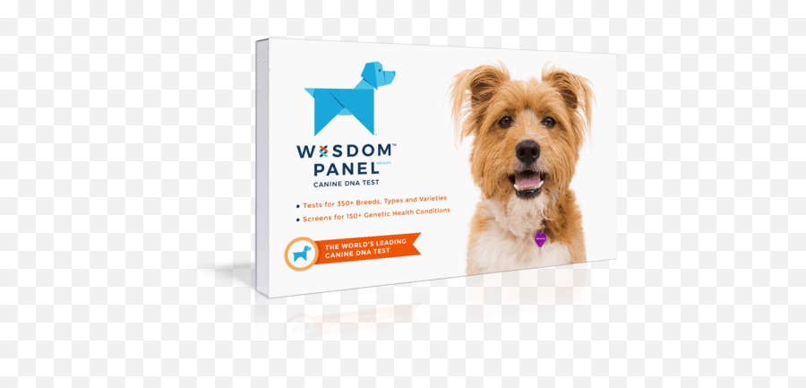 Wisdom Panel Health - Dog Dna Test Kit Png,Dog Transparent