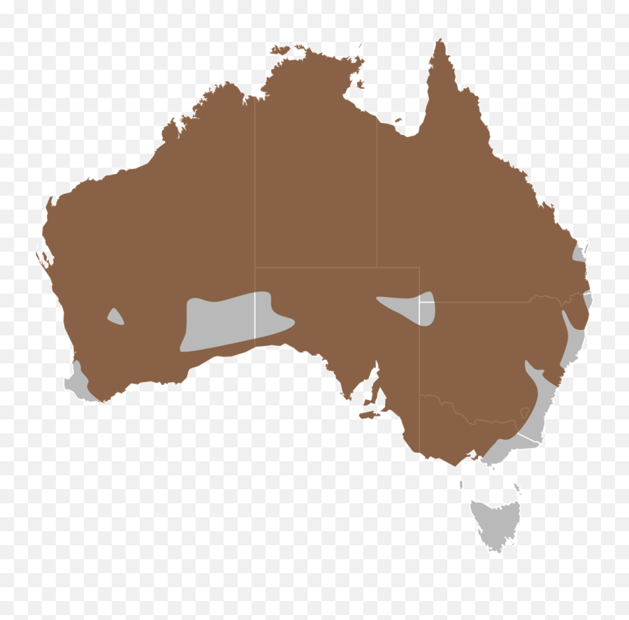 Download Vector Map Distribution Australia Royalty - Free Australia Silhouette Vector Png,Distribution Icon Vector