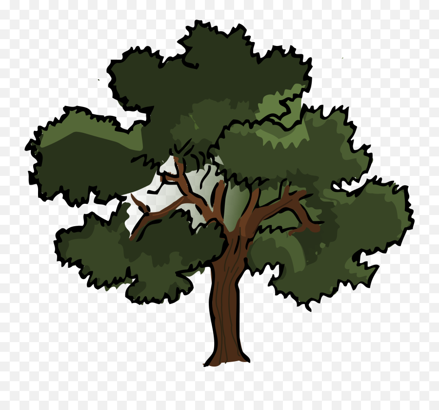 Transparent Background Oak Tree Clipart - Oak Tree Cartoon Png,Forest Transparent Background