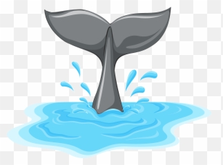 Library Of Tail Png Transparent Files - Cola De Ballena Dibujo,Tails Png