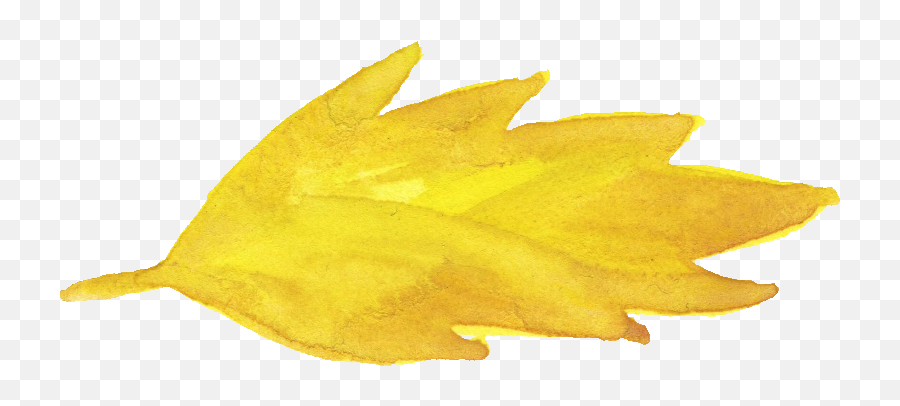 6 Watercolor Yellow Leaf Png Transparent Onlygfxcom - Watercolor Yellow Leaves Png,Fall Leaf Transparent