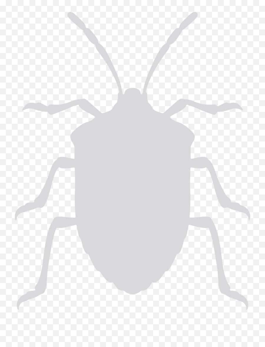 Vector Bug Stink Transparent Png - Stink Bug Clipart Black And White,Stink Png