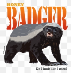 Download Honey Badger Dont Care Wallpaper - Honey Badger Don Png,Badger Png