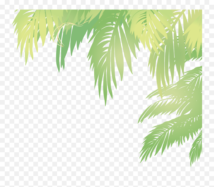 15 Palm Vector Png For Free Download - Vector Palm Leaf Png,Palm Png