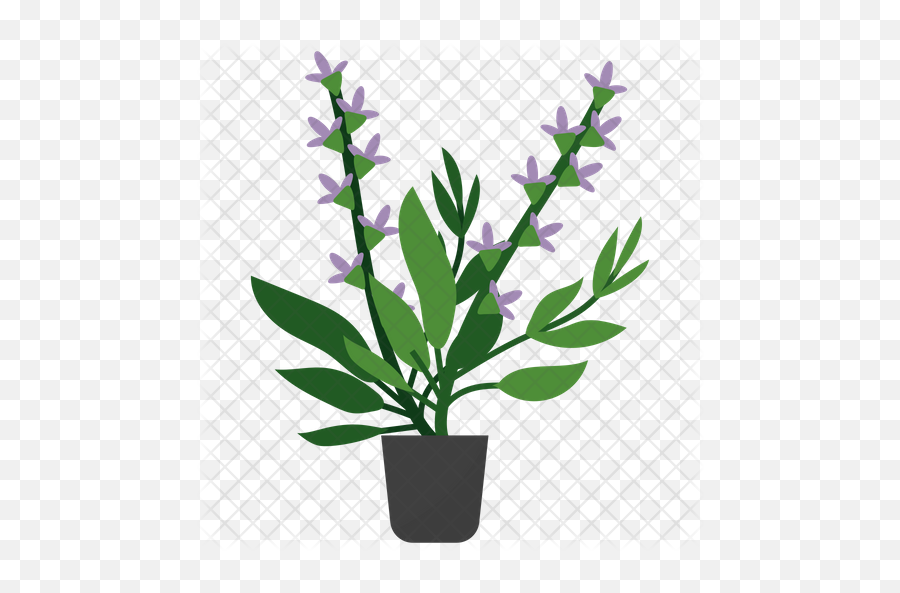 Clary Sage Plant Icon Of Flat Style - Flowerpot Png,Sage Png