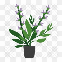 Clary Sage Plant Icon Of Flat Style - Flowerpot Png,Sage Png