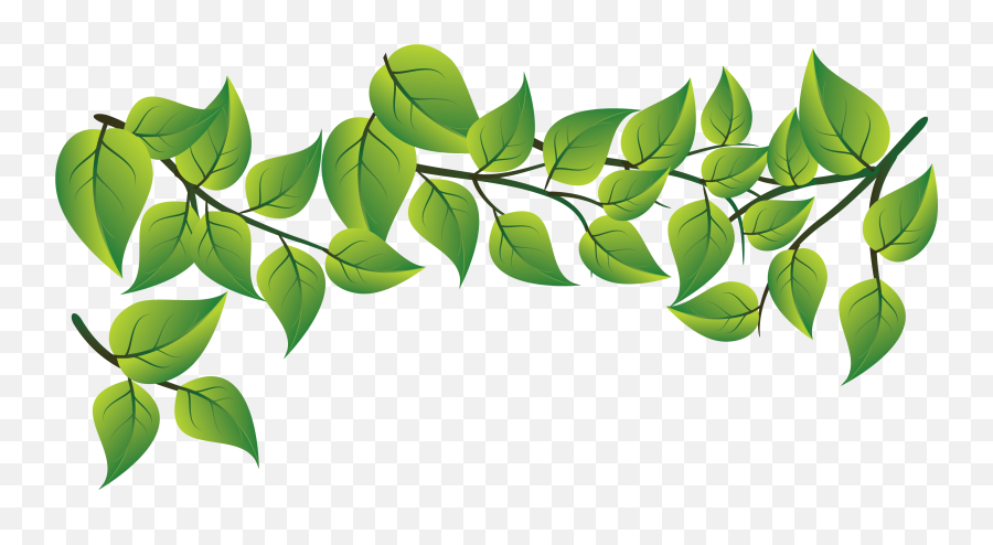 Leaf - Green Leaf Vector Png,Leaves Clipart Png